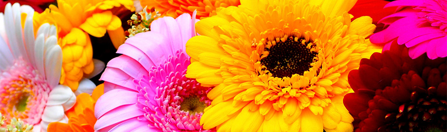 Labカラーモード