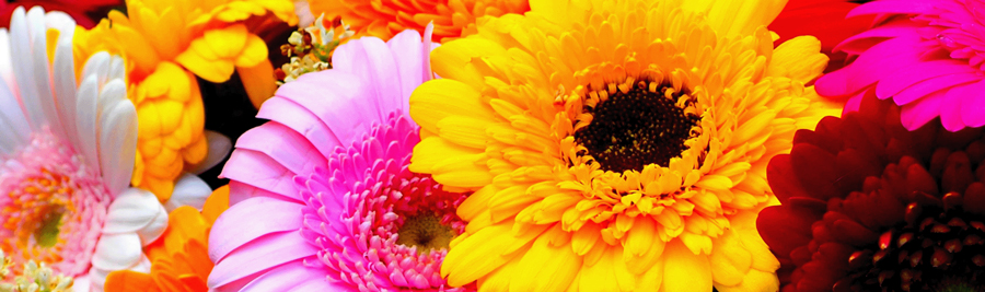 インデックス・カラーモード