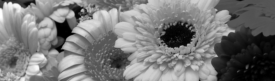 グレースケール・カラーモード