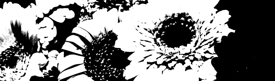 モノクロ2階調カラーモード